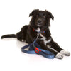 Doog Stella Clip It Neoprene Dog Lead Extra Large
