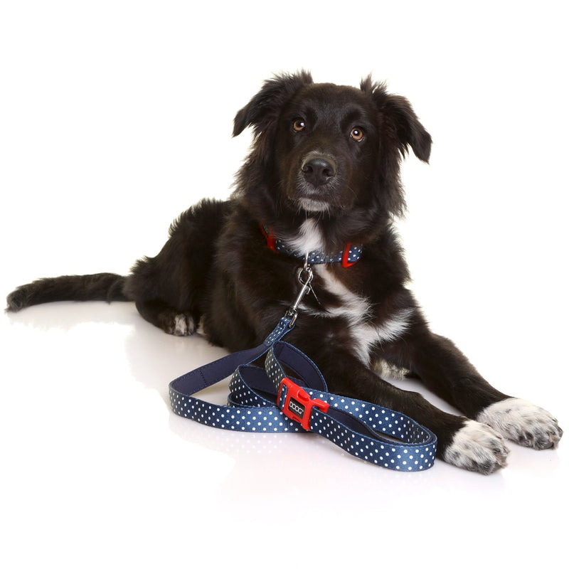 Doog Stella Clip It Neoprene Dog Lead Extra Large