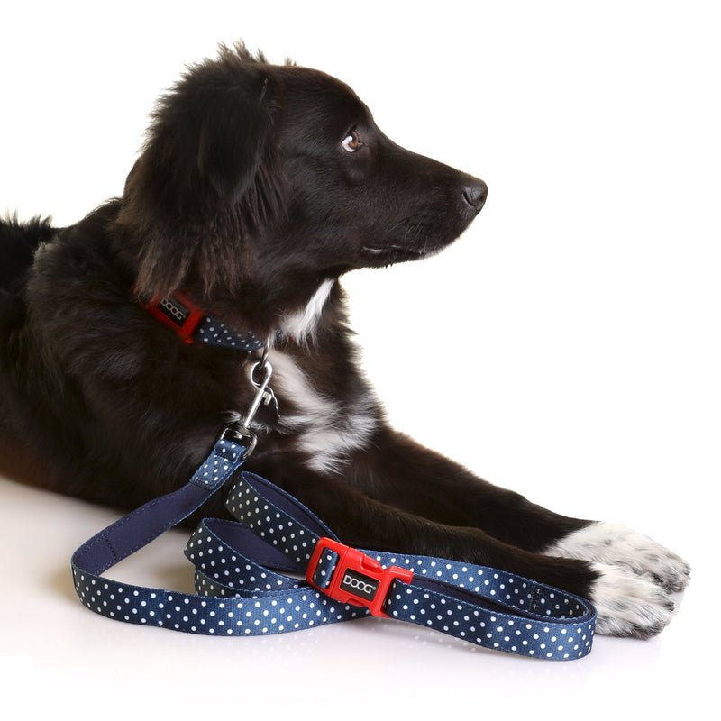 Doog Stella Clip It Neoprene Dog Lead Extra Large
