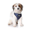 Doog Stella Neoflex Dog Harness Extra Large***