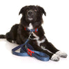 Doog Stella Neoprene Dog Collar Medium***