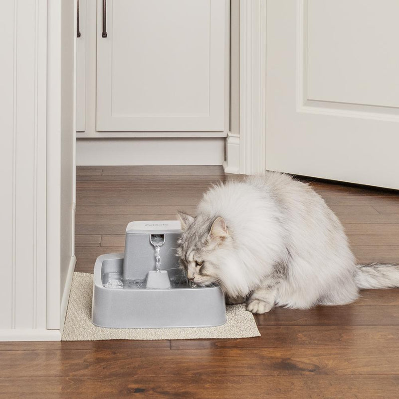 Drinkwell Fresh Water Pet Fountain 3.7 Litres for Cats and Dogs (+_+)