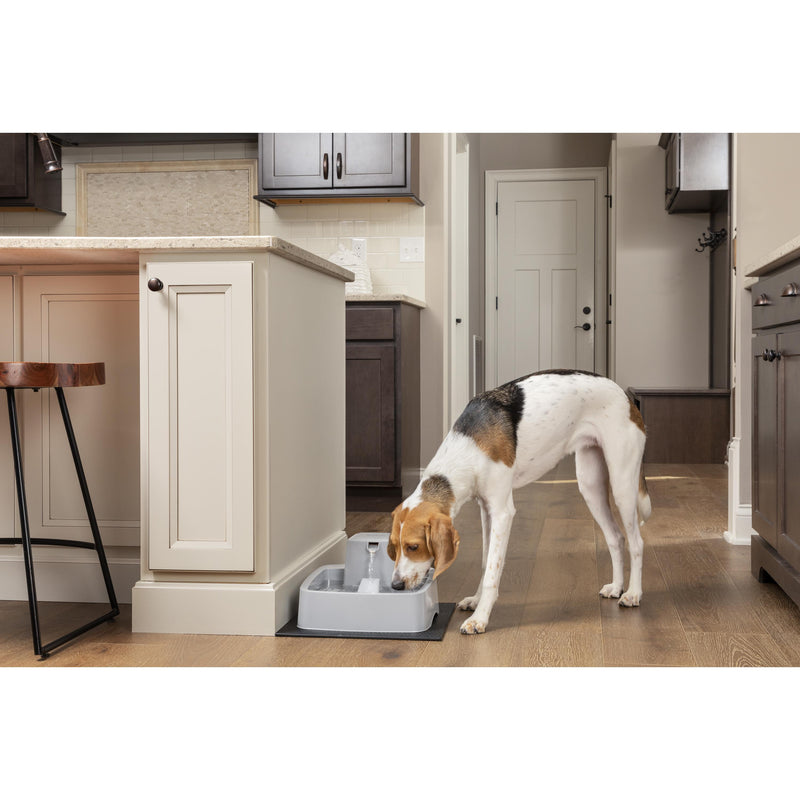 Drinkwell Fresh Water Pet Fountain 3.7 Litres for Cats and Dogs (+_+)