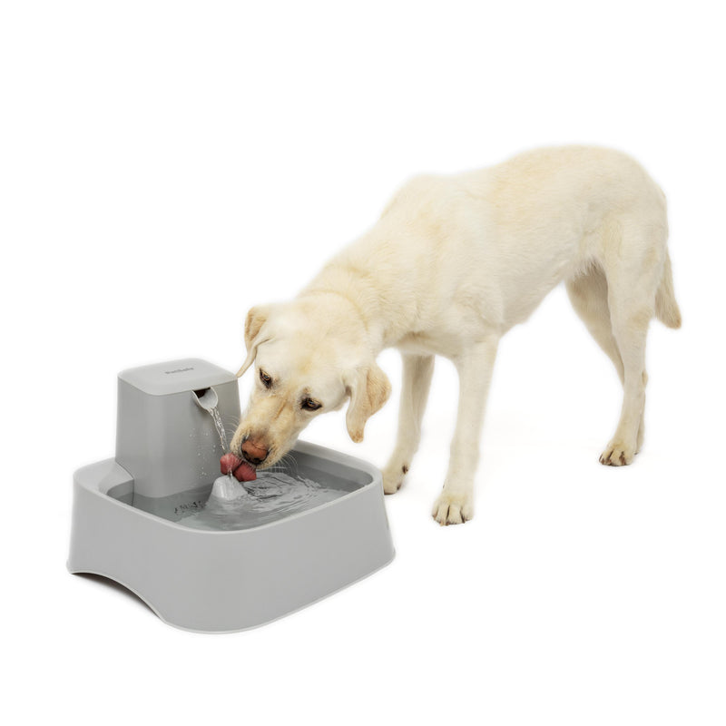 Drinkwell Fresh Water Pet Fountain 7.5 Litres for Cats and Dogs