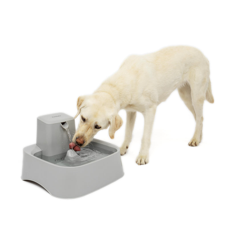 Drinkwell Fresh Water Pet Fountain 7.5 Litres for Cats and Dogs (+_+)