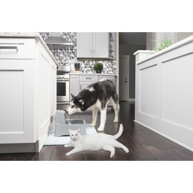 Drinkwell Fresh Water Pet Fountain 7.5 Litres for Cats and Dogs (+_+)