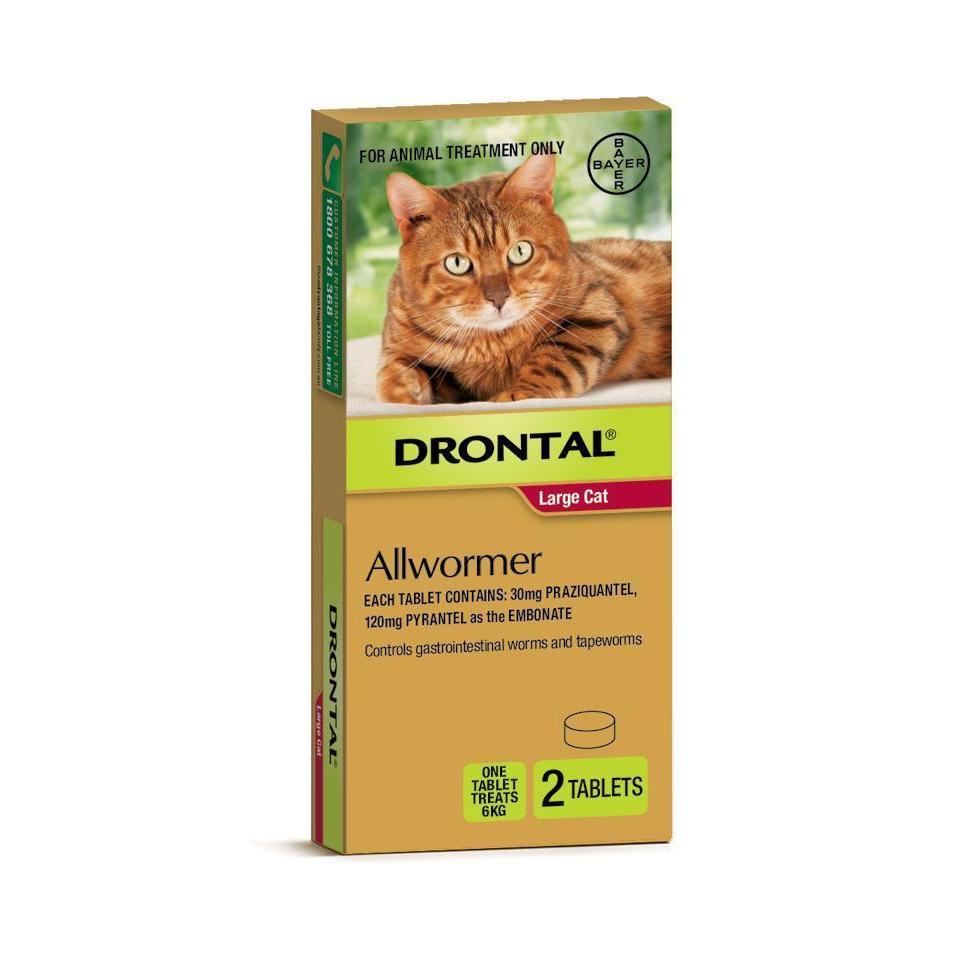 Drontal Allwormer Tablets for Cats Over 6kg 2 Pack-Habitat Pet Supplies