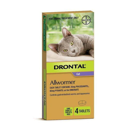Drontal Allwormer Tablets for Cats Under 4kg 4 Pack