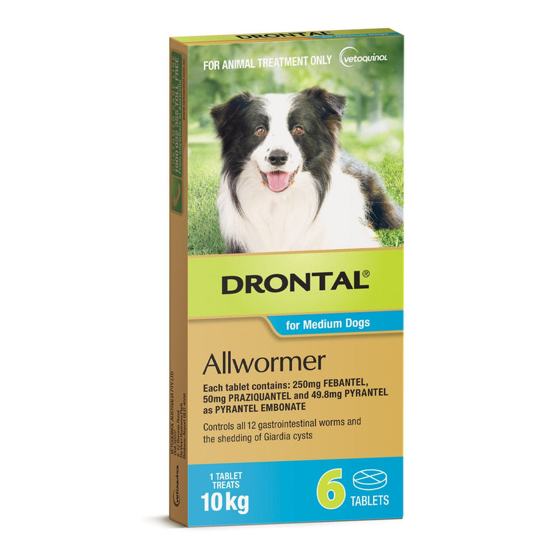 Drontal Allwormer Tablets for Medium Dogs 3kg-10kg 6 Pack-Habitat Pet Supplies