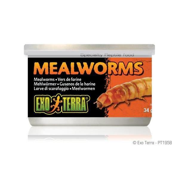 Exo Terra Mealworms 34g-Habitat Pet Supplies