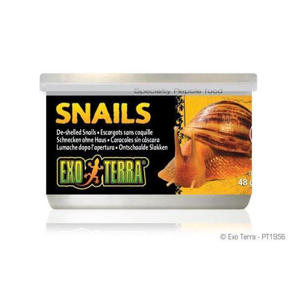 Exo Terra Snails Unshelled 48g-Habitat Pet Supplies