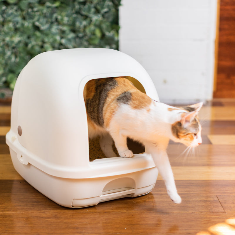 Ezi-LockOdour Dual Layer Cat Litter System Hooded Cat Litter Tray
