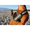 EzyDog Convert Dog Harness Blue Medium