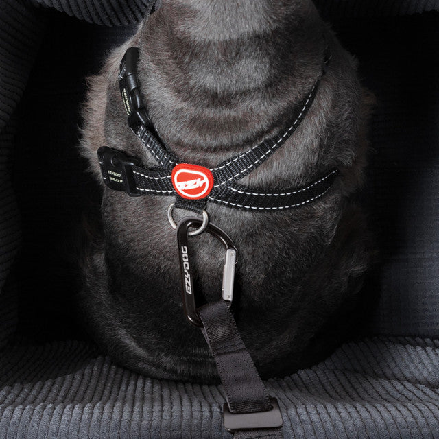 EzyDog Drive Booster Seat for Dogs