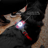 EzyDog Go-2 Dog Safety Light Multicolour