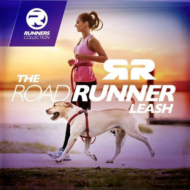 EzyDog Road Runner Dog Lead Red