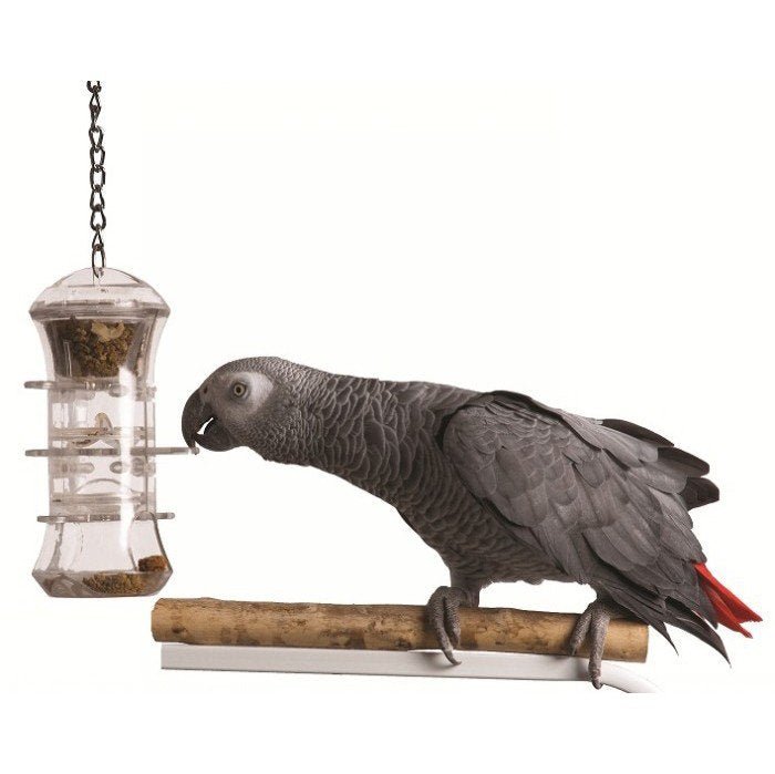 Featherland Paradise Push and Pull Foraging Bird Toy