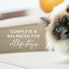 Feline Natural Beef Feast Wet Cat Food 170g x 12 :->>