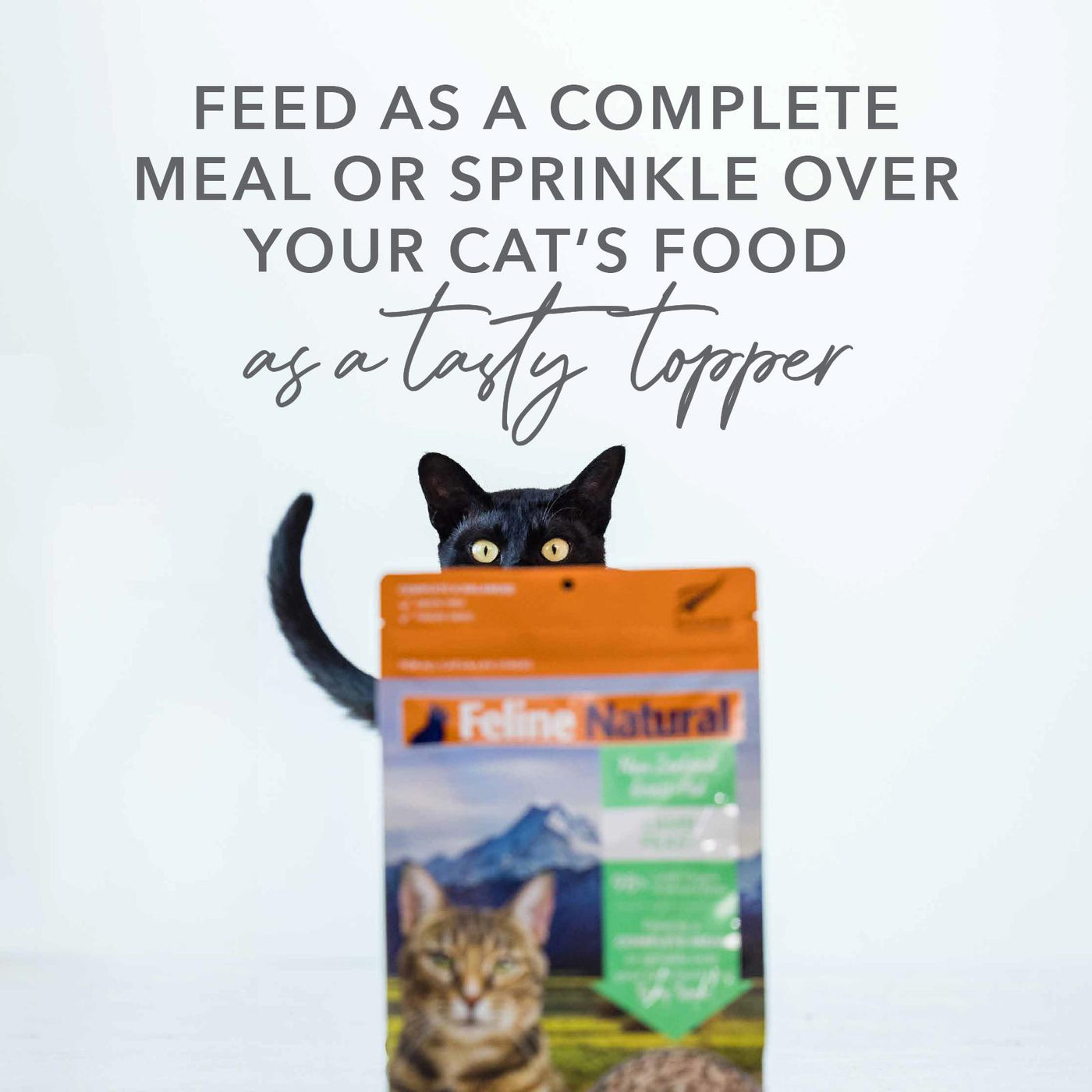 Feline natural lamb and salmon sale