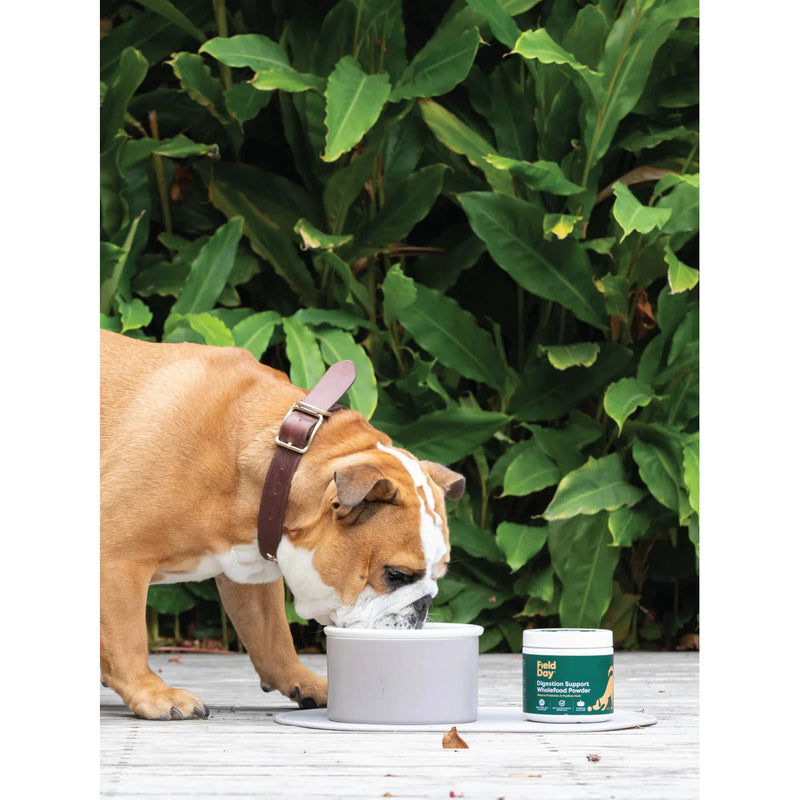 Field Day Digestion Support Wholefood Powder Supplement 220g
