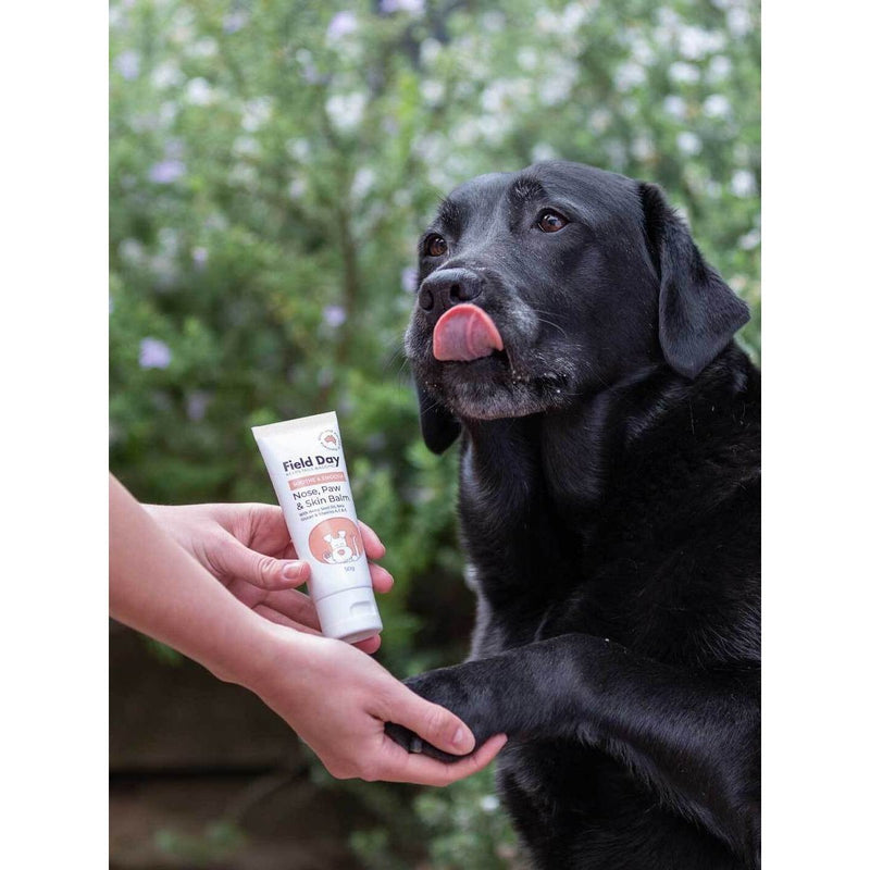 Field Day Soothe and Smooth Nose Paw and Skin Balm 50g