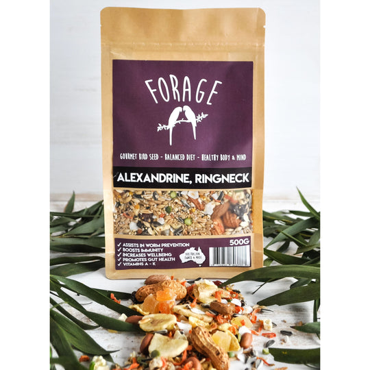 Forage Alexandrine Ringneck Gourmet Bird Seed 500g