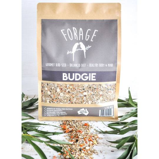 Forage Budgie Gourmet Bird Seed 1.75kg