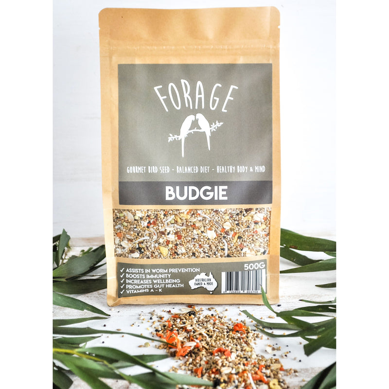 Forage Budgie Gourmet Bird Seed 500g-Habitat Pet Supplies