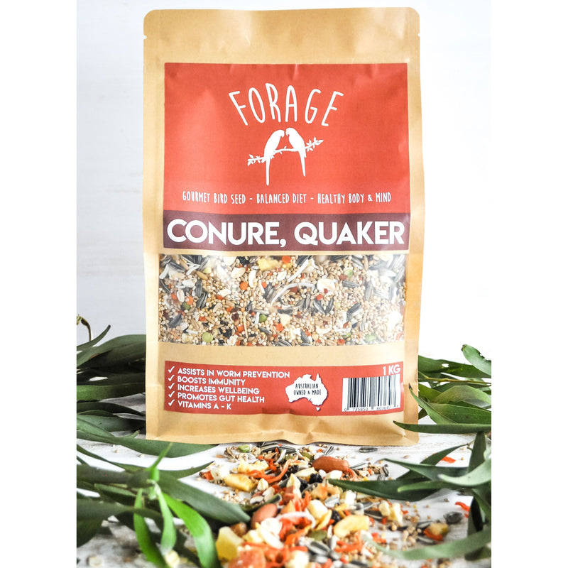 Forage Conure and Quaker Gourmet Bird Seed 1kg-Habitat Pet Supplies