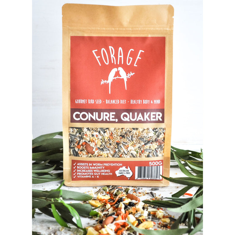 Forage Conure and Quaker Gourmet Bird Seed 500g-Habitat Pet Supplies