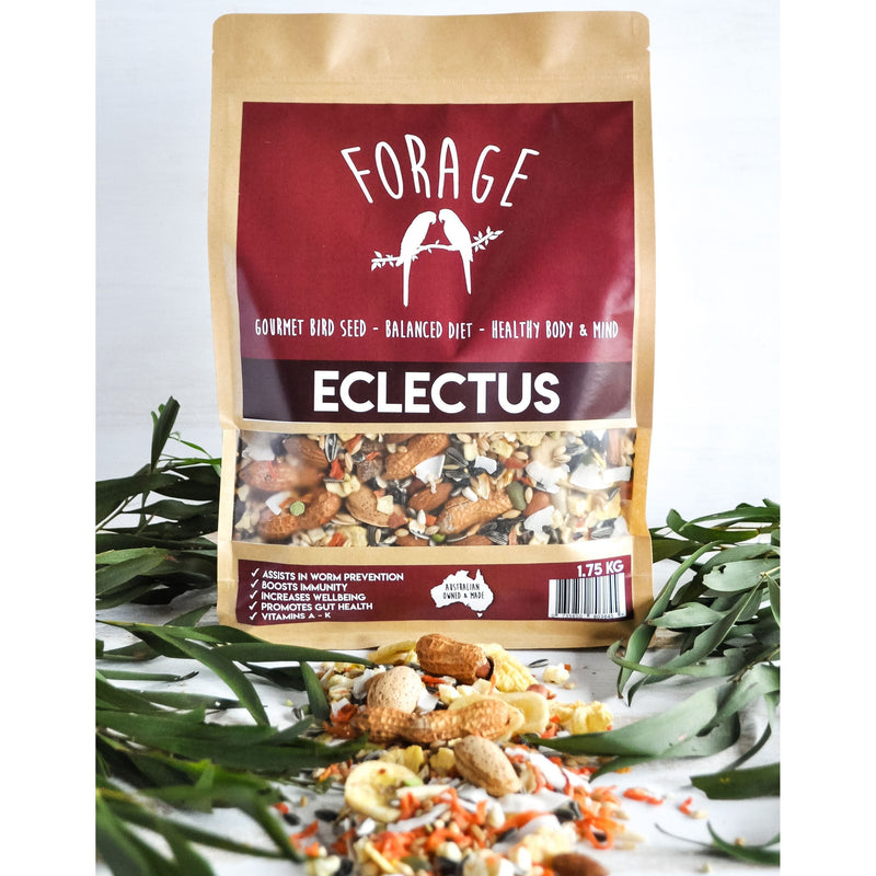 Forage Eclectus Gourmet Bird Seed 1.75kg-Habitat Pet Supplies