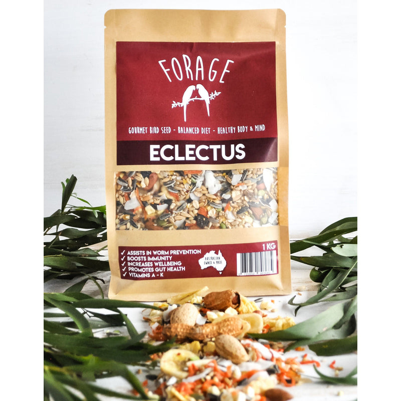 Forage Eclectus Gourmet Bird Seed 1kg-Habitat Pet Supplies
