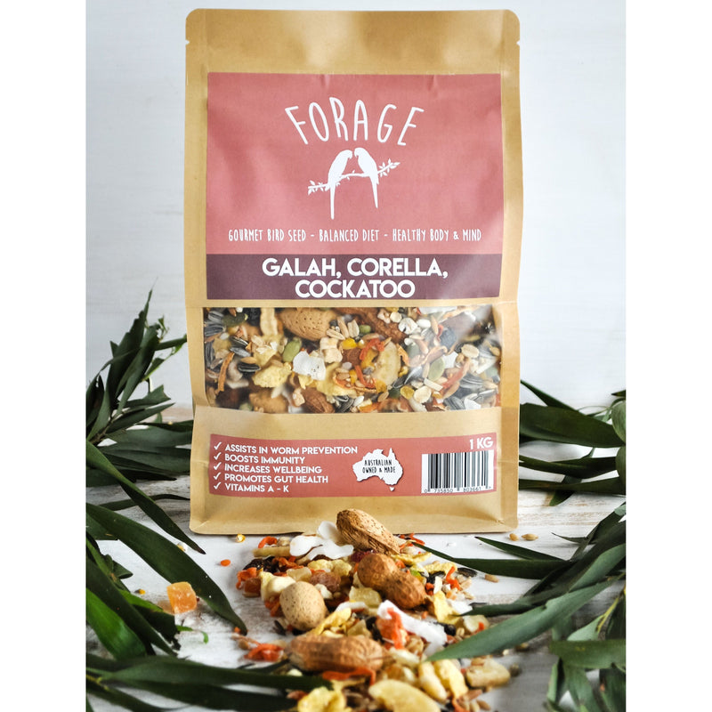 Forage Galah Corella and Cockatoo Gourmet Bird Seed 1kg-Habitat Pet Supplies
