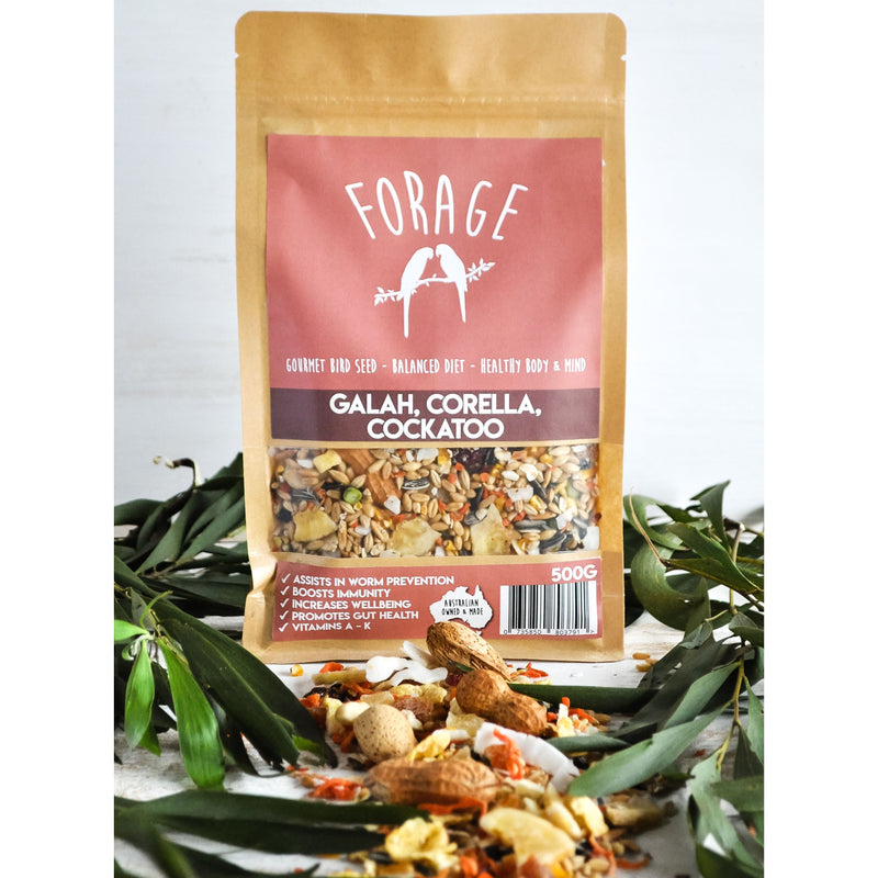 Forage Galah Corella and Cockatoo Gourmet Bird Seed 500g-Habitat Pet Supplies