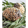 Forage Large Pine Cone Parrot Treat-Habitat Pet Supplies