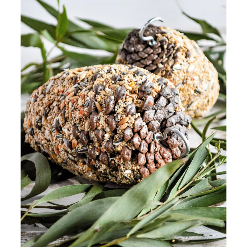 Forage Large Pine Cone Parrot Treat-Habitat Pet Supplies