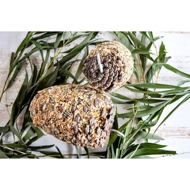 Forage Small Pine Cone Parrot Treat-Habitat Pet Supplies
