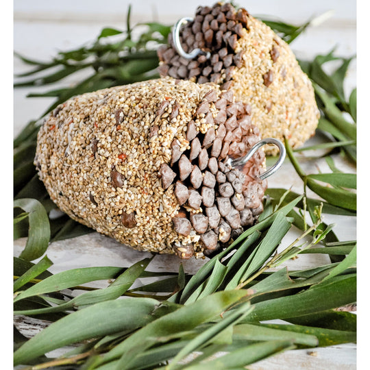 Forage Small Pine Cone Small Bird Treat