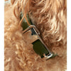 frank green Blushed Dog Collar and Tag Medium