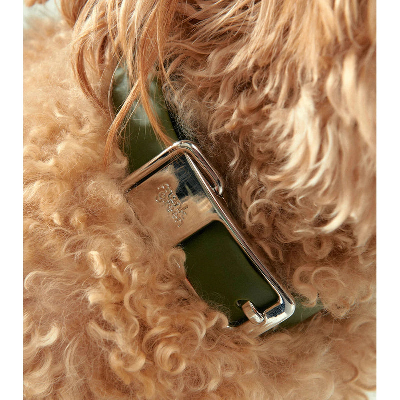 frank green Lilac Haze Dog Collar and Tag Medium