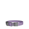 frank green Lilac Haze Dog Collar and Tag Medium-Habitat Pet Supplies