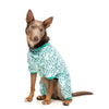 FuzzYard Apparel Counting Sheep Dog Pyjamas Green Size 7