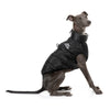 FuzzYard Apparel The Eastcoast Dog Harness Jacket Black Size 1***