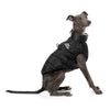 FuzzYard Apparel The Eastcoast Dog Harness Jacket Black Size 1
