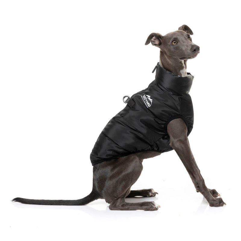 FuzzYard Apparel The Eastcoast Dog Harness Jacket Black Size 1***