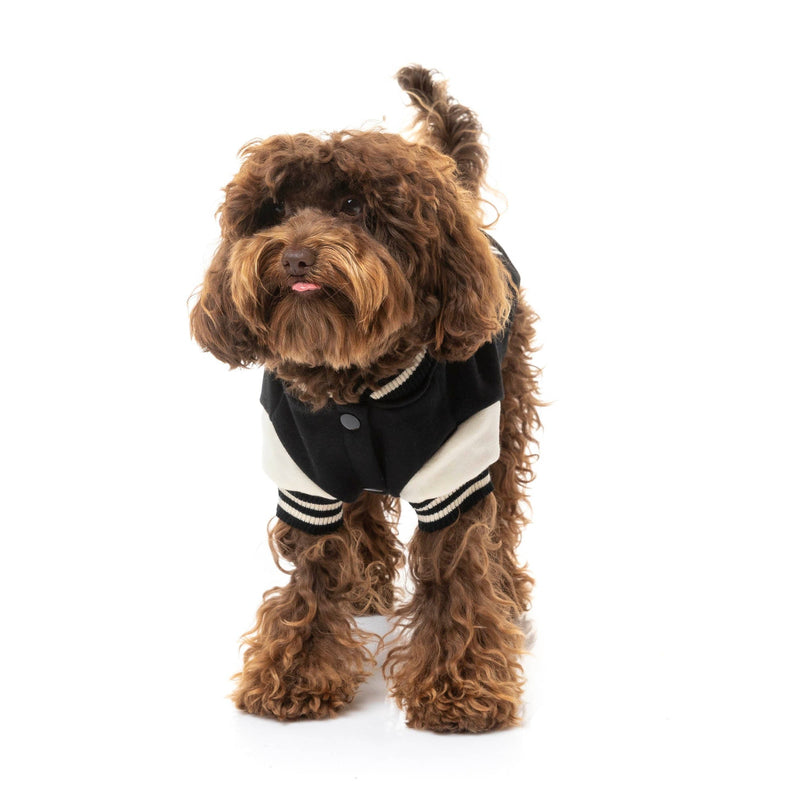 FuzzYard Apparel The Letterman Dog Jacket Black Size 1***