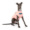 FuzzYard Apparel The Woof Dog Sweater Pink Size 5