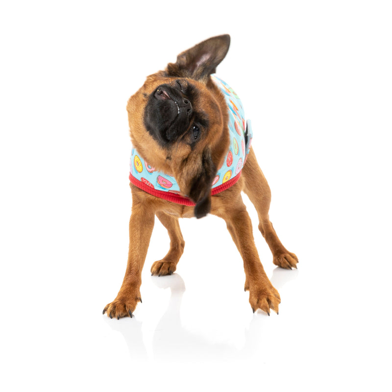FuzzYard Apparel You Drive Me Glazy Dog Wrap Vest Size 7***
