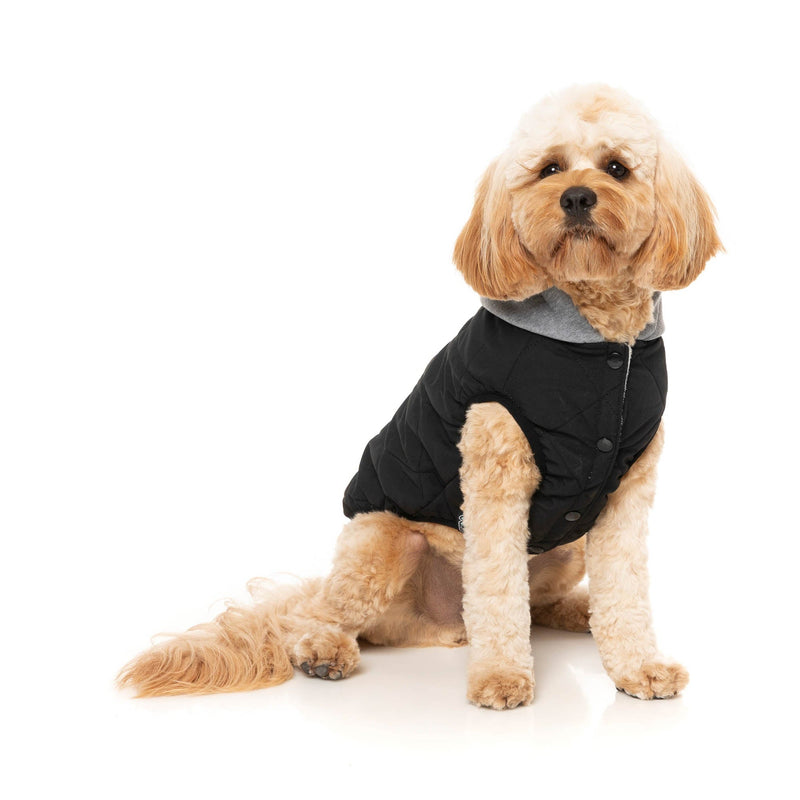 FuzzYard Dog Apparel Cremorne Hoodie Black Size 1