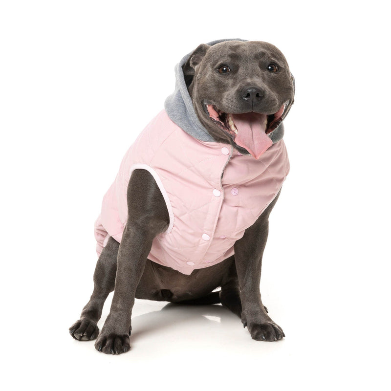 FuzzYard Dog Apparel Cremorne Hoodie Pink Size 5